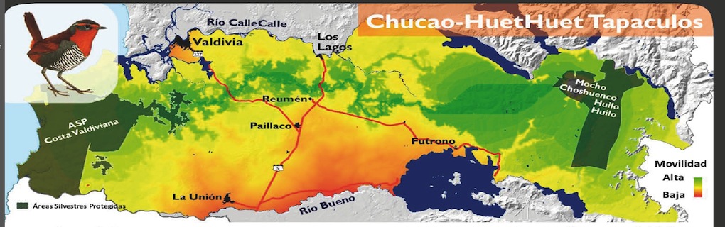 Scientific planning and design of biological corridors are essential for species conservation. For a focal species, Inao and colleagues have proposed a corridor between cordilleras in southern Chile